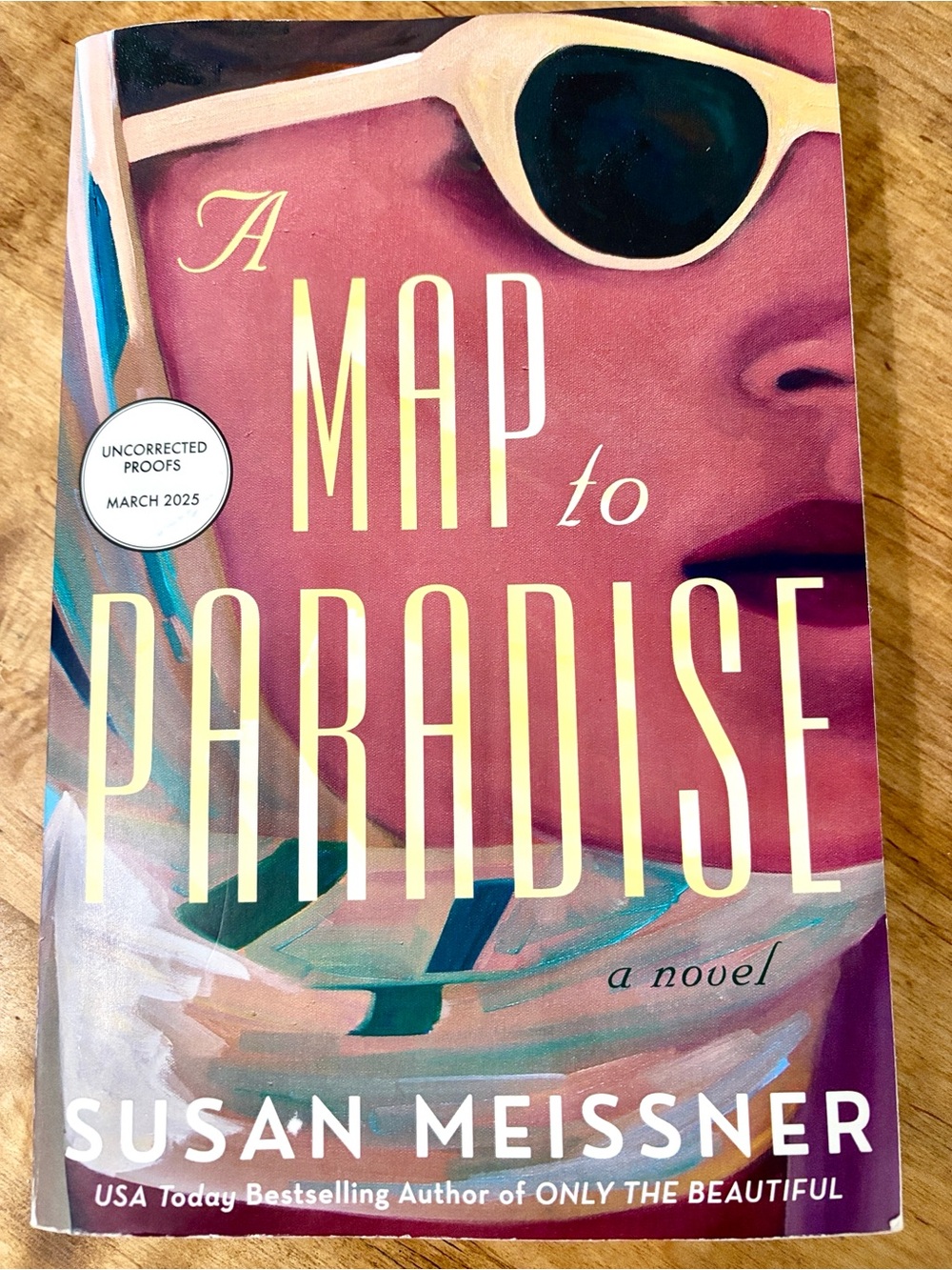 A Map To Paradise by Susan Meissner Book Novel Paperback